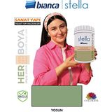 Stella Su Bazlı Boya Fayans-Mermer-Tezgah-Kapı-Dolap-Iç Cephe-Dönüşüm-Mutfak-Banyo-Plastik-Ahşap - Yosun