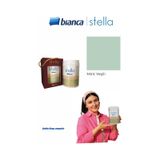 Stella Su Bazlı Saf Akrilik Boya 500ml - Mint Yeşil mint-yesili