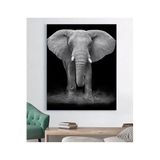 StellaStore Fil Kanvas Tablo,30 X 40,VRSTR622