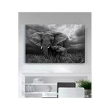 StellaStore Fil Kanvas Tablo,60 X 90,ugtcR416