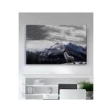 StellaStore Kar Dağ Ve Kurt Kanvas Tablo, 50 x 70