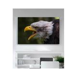 StellaStore Kartal Kanvas Tablo,30 X 40,ugtcR263
