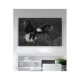StellaStore Kartal Kanvas Tablo,30 X 40,ugtcR266