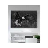 StellaStore Kartal Kanvas Tablo,40 X 60,ugtcR266