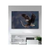 StellaStore Kartal Kanvas Tablo,40 X 60,ugtcR345