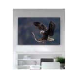 StellaStore Kartal Kanvas Tablo,60 X 90,ugtcR345