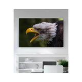 StellaStore Kartal Kanvas Tablo,70 X 100,ugtcR263