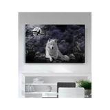 StellaStore Yıldızlı Gece Beyaz Kurt Kanvas Tablo, 60 x 90