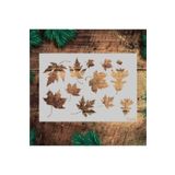 STENCİLTASARIM Stencil Tasarım F056 Çınar Yaprağı Şablonu - Dekoratif Duvar Ve Eşya Boyama Şablonları 21x30 Cm