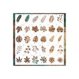 STENCİLTASARIM Stencil Tasarım F228 30 adet 8x10cm Yaprak Stencil Seti SET:63 Duvar, Ahşap, v.b Boyama Şablonu