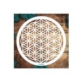 STENCİLTASARIM Stencil Tasarım Yu053 Yaşam Çiçeği Duvar Ahşap Cam Boyama Deseni