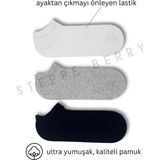 Steppe Berry 3 Çift Premium Kalite Pamuk Patik Çorap - 36 - 40