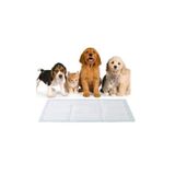 SteriCare Kedi Köpek Çiş Pedi 60x90 Cm 30' Lu Paket Yatak Koruyucu Serme 1 Adet