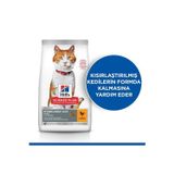 Sterilised Yetiskin Tavuklu Kedi Mamasi 10 Kg