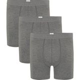 Steve Wolls Erkek Gri 3’lü Uzun Paça Bambu Boxer - 25201 - 2XL