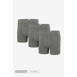 Steve Wolls Erkek Gri 3’Lü Uzun Paça Bambu Boxer - 25201 Gri 2XL