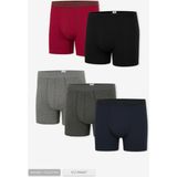 Steve Wolls Erkek Renkli 5’li Uzun Paça Bambu Boxer - 25204 (BUK100) - XL - Karışık