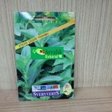 Stevia Çiçeği Tohumu Paket Ücretsiz Kargo