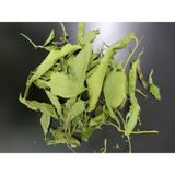 Stevia Türkiye Şekerotu Kuru Yaprak 2 Adet 50 Gr - 275 gr