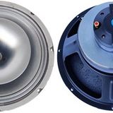 Sti COAX-15 1000W 2 Yollu Çıplak Hoparlör