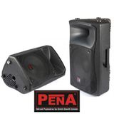 Sti Z-12-A 600W 2 Yollu Plastik Kasa Kabin Tipi Pasif Hoparlör