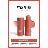 Stick Blush Tone Touch Warm Apricot 01 – Stick Allık