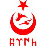 Sticker Atölyesi Göktürk Kurt Ay Yıldız Sticker - 15109 - Kırmızı - 10x6 Cm