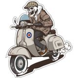 Sticker Atölyesi Vespa Kurukafa Sticker - 13003 - 15 x 13 cm - Renkli