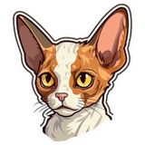 Sticker Devon Rex Cat Kedi Motorsiklet, Kask,Laptop Ve Araç Sticker Etiket 13x15 Cm