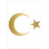 Sticker Dizayn Ay Yıldız Sticker Türk Bayrağı Sticker 00323 - 25x18 Cm - Altın
