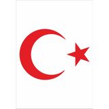 Sticker Dizayn Ay Yıldız Sticker Türk Bayrağı Sticker 00323 - 30x22 Cm - Kırmızı