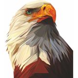 Sticker Dizayn Kartal Eagle Karakartal Beşiktaş Sticker Araba Oto Motosiklet Karavan Sticker 00280 - 30x26 Cm - Renkli