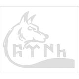 Sticker Fabrikası Göktürkçe Türk Yazı ve Kurt Araba Sticker 00920 - Beyaz - 30 x 24 cm