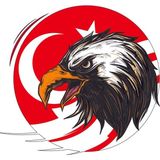 Sticker Fabrikası Kartal Türk Bayrağı Ay Yıldız Sticker 00949 - Renkli - 100x93 Cm