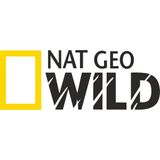 Sticker Fabrikası Nat Geo Wıld Netgeowild National Geographic Sticker 00189 - 40 x 15 cm - Renkli