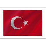 Sticker Fabrikası Türk Bayrağı Ay Yıldız Türkiye Sticker 00969 - Beyaz - Kırmızı - 15 x 10 cm