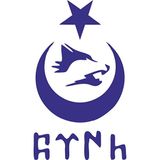 Sticker Fabrikası Türk Bayraklı Ay Yıldız Kurt Göktürk Yazısı Sticker 00672 - 18 x 10,5 cm - Mavi