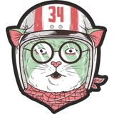 Sticker Fabrikası Vespa Kedi Sticker 00278 11 x 12 cm - Renkli