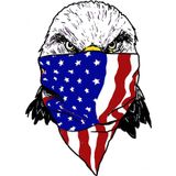 Sticker Master 2 Adet Komik Amerikan Eagle Cikartmalari Motosiklet Dizustu Kaykay Bisiklet