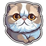 Sticker Master Scottish Fold Cat Kedi Motorsiklet, Kask,Laptop Ve Araç Sticker Etiket 14x15 Cm