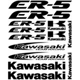 Sticker Masters Kawasaki ER-5 Sticker Set