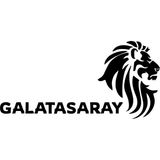 Sticker Usta | Aslanlı Galatasaray | Araba Laptop Duvar Folyo Sticker (Siyah) - 20 x 10
