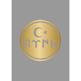 Sticker Usta Göktürkçe Türk Göktürk Yazı Türk Bayrağı Sticker Araba Oto Motosiklet Karavan Sticker 00210 - Altın - 10x10 Cm