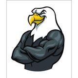 Sticker Usta Kara Kartal Beşiktaş 1903 Şahin Sticker 00959 Siyah 20 x 16,5 cm