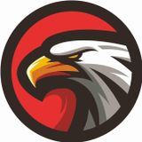 Sticker Usta Kartal Sticker - 17156 Renkli 100 x 100 cm 1715699-100x100