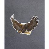 Sticker Usta Kartal Sticker Araba 02067 Renkli 30x22 Cm 60 x 44 cm