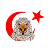 Sticker Usta Kartal Türk Bayrağı Ay Yıldız Sticker 00946 Renkli 12 x 10 cm