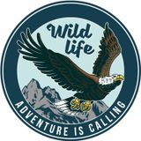 Sticker Usta Kartal - Vahşi Hayat - Adventure - 4x4 - Off Road - Kamp - Doğa - Sticker 02022 Renkli 10x10 Cm 80 x 80 cm stickerusta74e9a56e-e07-80x80