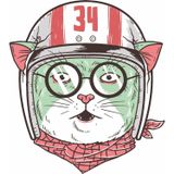 Sticker Usta Kasklı Kedi Sticker 00278 - 80x71 Cm - Renkli