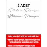 Sticker Usta Kişiye Özel 2 Adet Isim Soyisim Yazı Oto Araba Motosiklet Karavan Sticker 00028 Gri 50 Cm